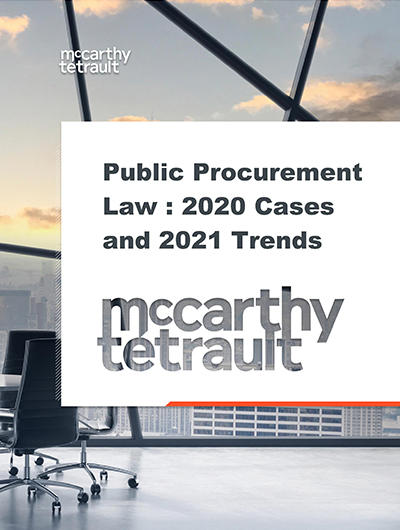 Public Procurement Activity in 2020 Sets the Stage for Trends in 2021